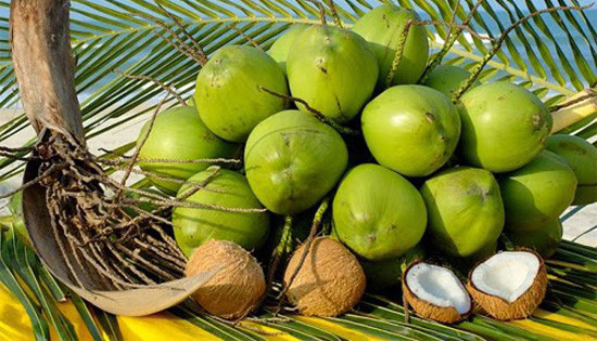 Trái Cây Sạch Bến Tre