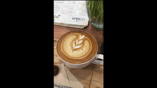 The Comma Coffee - Hoa Mai