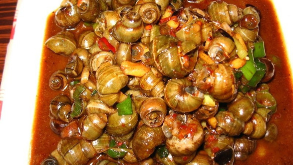 ỐC PHỐ 1 - MAN THIỆN