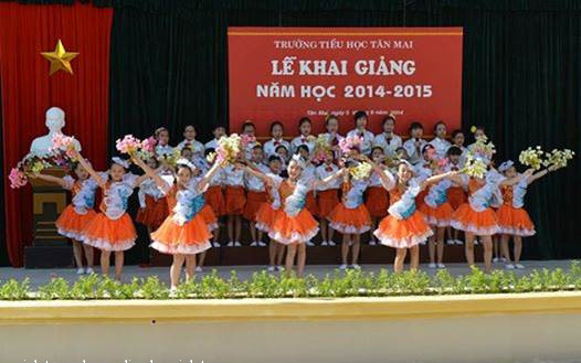 Trường Tiểu Học Tân Mai - Tân Mai