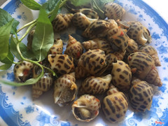 ốc hương rang muối
