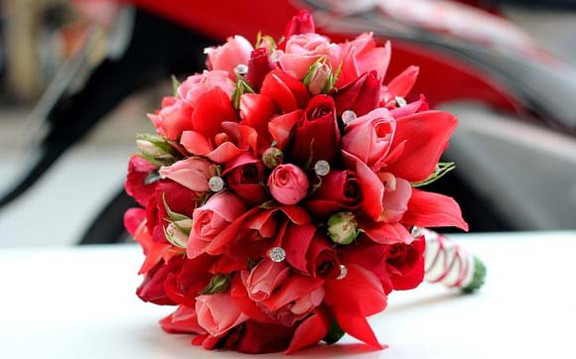 Shop Hoa Tươi Nhập Khẩu