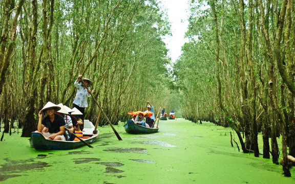 Thiên Niên Kỷ Travel