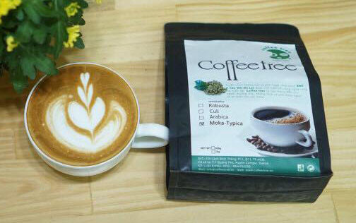 Tree Coffee - Cát Linh