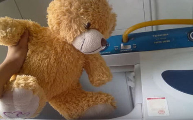 Dịch Vụ Giặt Gấu Bông Teddy Procare