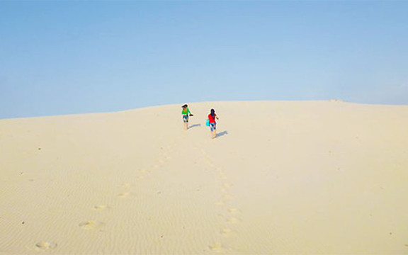 Đồi Cát Vàng Nhĩ Hạ