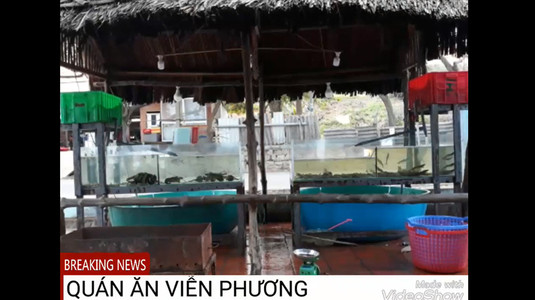 Quán Ăn Viễn Phương - Hải Sản Tươi Sống