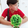 Huy Trần