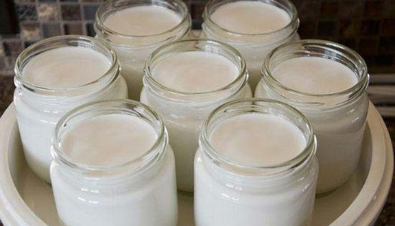 Sữa Chua Nhà Làm - Bạch Đằng