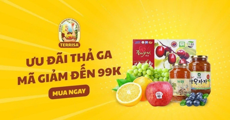 TERRISA Premium Store - Hồng Hà