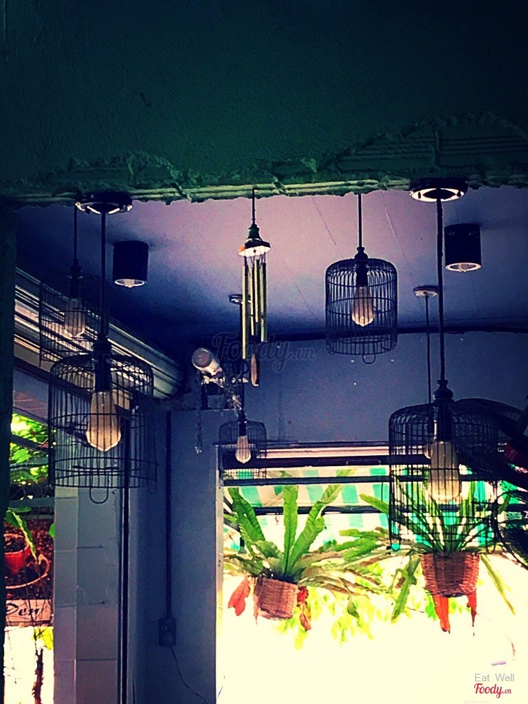 Đèn lống chim