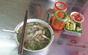 phở gà