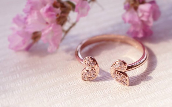 DOJI - Phạm Văn Đồng