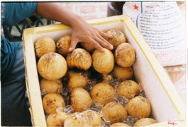 Dừa đễ đá sẽ thơm mùi khói nướng và không bị khô như để tủ lạnh.