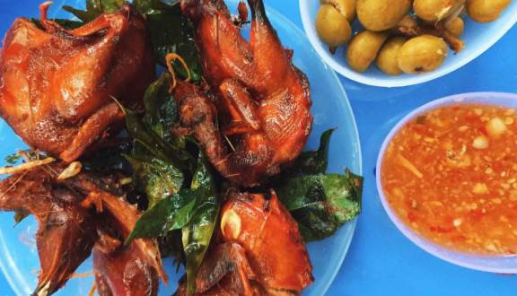 Tú Xèo - Chim Cút Quay Móc Mật