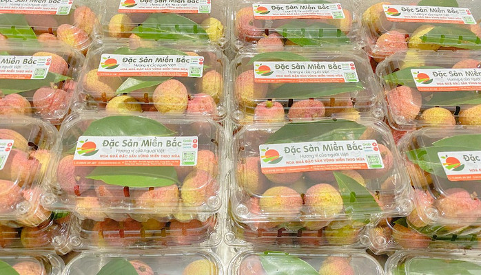 ĐẶC SẢN MIỀN BẮC - Thực Phẩm - Nguyễn Sơn