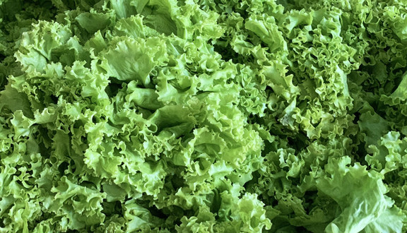 Rau Quả Quê - 3 Tháng 2