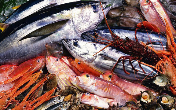 Hải Sản & Thực Phẩm Sạch - Thanh Lân