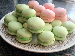 bánh macaron