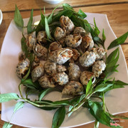 Ốc hương rẻ mà ngon