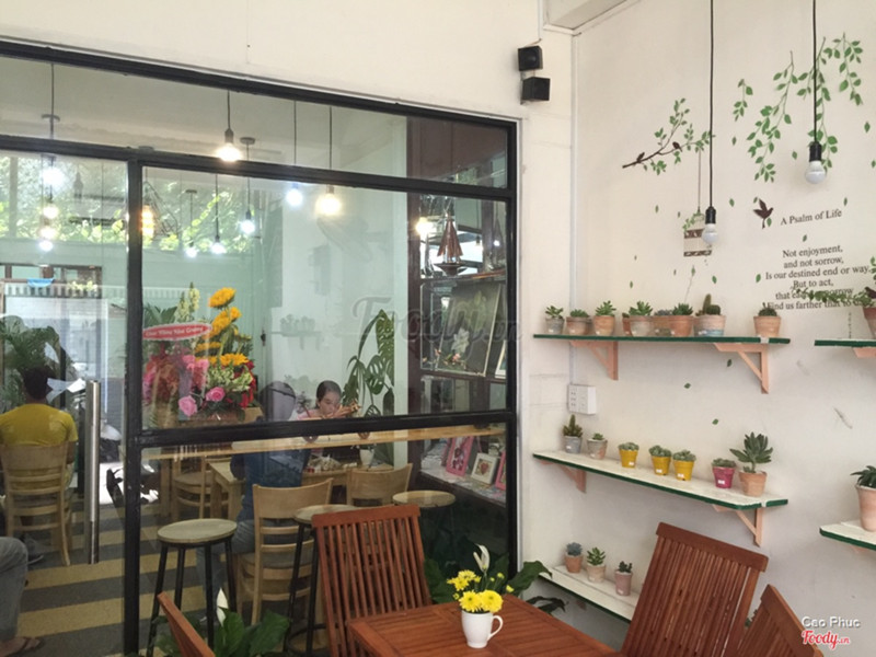 Mới vô tưởng xương rồng của quán trang trí thôi, ai ngờ hỏi ra mới biết là quán bán xương rồng luôn, xương rồng gì mà hoa nở rộ như mùa xuân