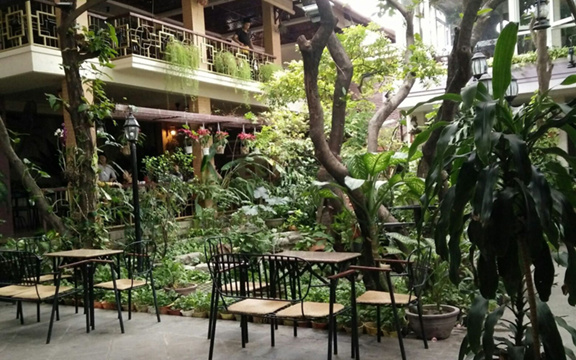 Hội Quán Việt Cafe