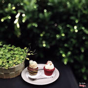 Red Velvet siêu ngonnnn luôn