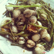 sò huyết