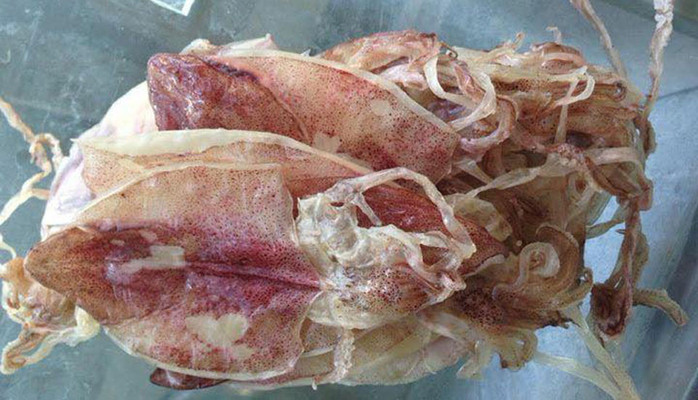 Làng Chài Phước Hải