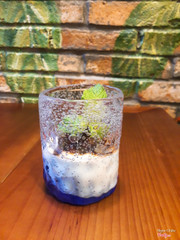 Basil Panna Cotta