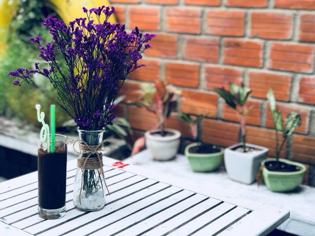 Tình Ca Cafe