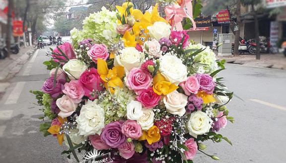 Hoa Tươi Sun Flower - Thái Thịnh