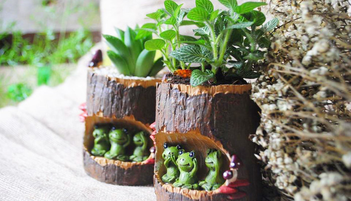 Rai Rustic - Quà Tặng Xanh