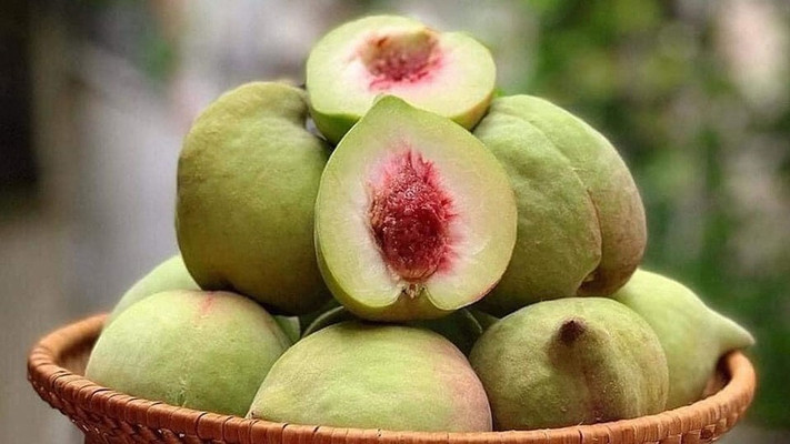 Quang Anh - Xoài & Cóc Bao Tử