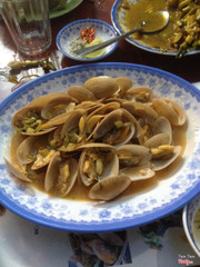 chíp xồ