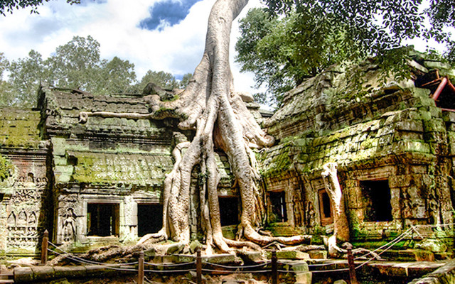 Ta Prohm Temple