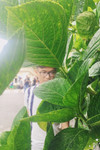 Eric Trương