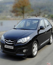 Thuê xe tự lái Đà Nẵng 365