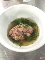 Pig brain