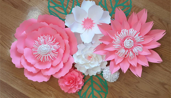 Hoa Giấy Suchin - Kim Mã