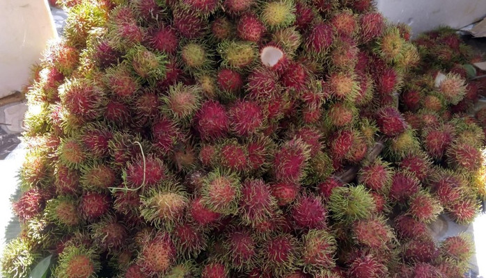 Giang - Trái Cây - Lương Định Của