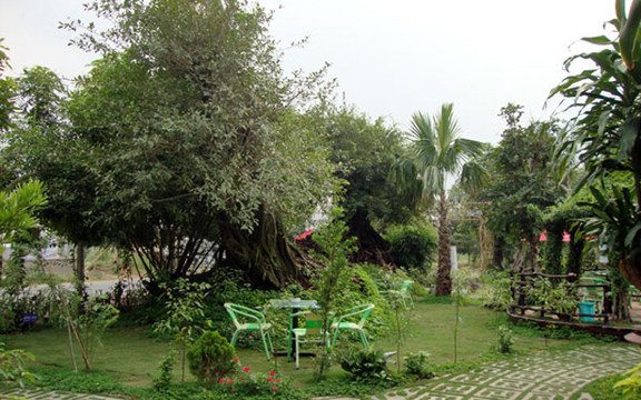 Thảo Viên Xanh Cafe