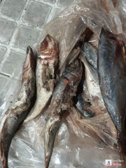 Buôn bán mùa dịch vậy đó trời ơi