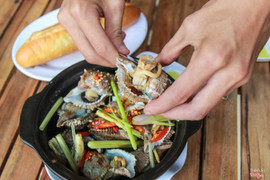 Ốc gai