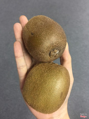 Kiwi xanh