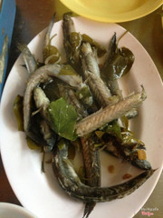 cá chín ăn đc r đấy, vớt ra kẻo để lâu sẽ bị nát