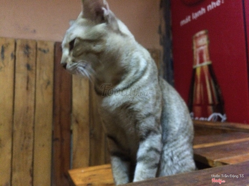 Đáng iu