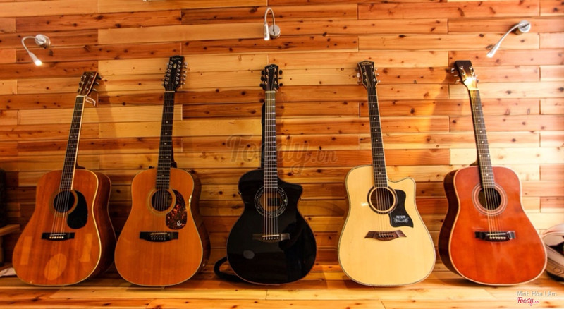 Guitar