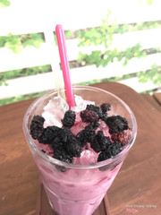 Yaourt dâu tằm 29k