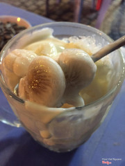 Măng cụt dầm yaua 40k